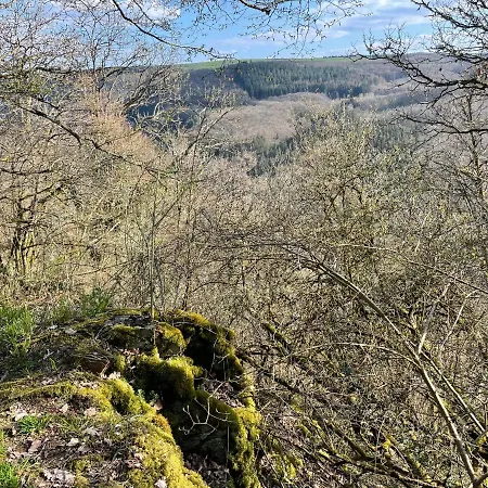 Winnys House 펜션 Dirbach