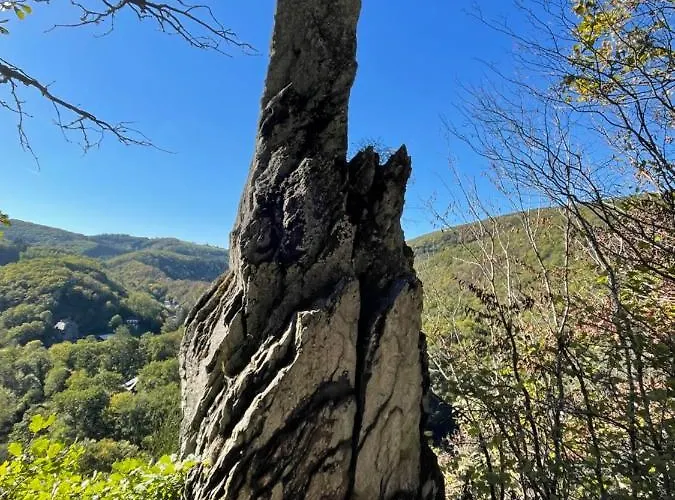 Winnys House Ferienhaus