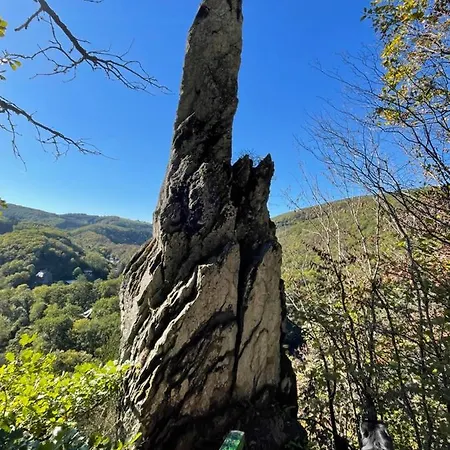 Winnys House Hébergement de vacances